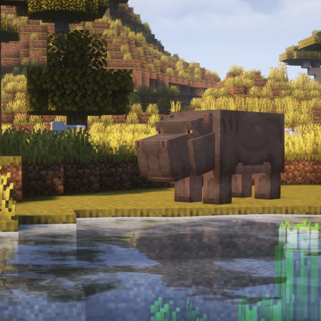 nm_hippos_1-1024x1024.png