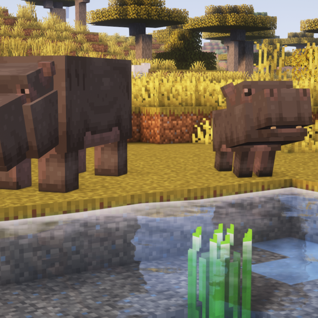 nm_hippos_2-1024x1024.png