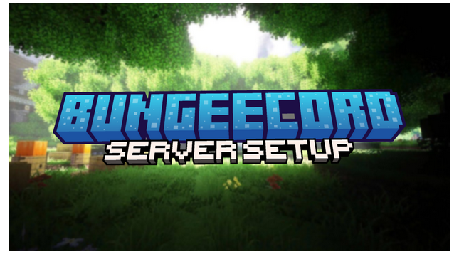 Screenshot 2023-10-18 at 08-16-59 BungeeCord Setup Professional.png