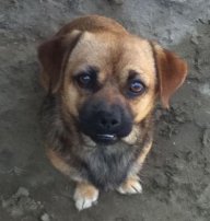 Carlos083