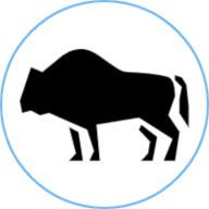 BisonNode Hosting