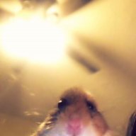 NickDevelsan