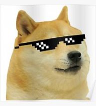 Doge