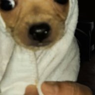 SimplyJoyBoy