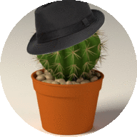 CalicoCactus