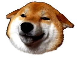yByteLeak