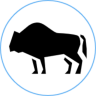 BisonNode Hosting