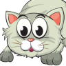Cachat
