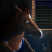 DrunkyHorse