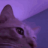 Marus