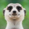 Overflow v3 Anticheat sourcecode