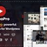 WORDPRESS THEME VideoPro