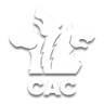 Cerberus AntiCheat
