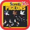 Scenes - Pigeons - Environment