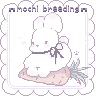 ✨୨✚୧ MochiBreeding ୨✚୧✨[1.17-1.21.X]