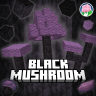 Black Mushroom