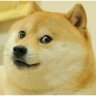 Doge Anticheat