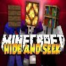 HideAndSeek [40% XMAS SALE]