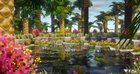 A small oasis in the desert