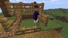 I found a witch riding a chicken on a server