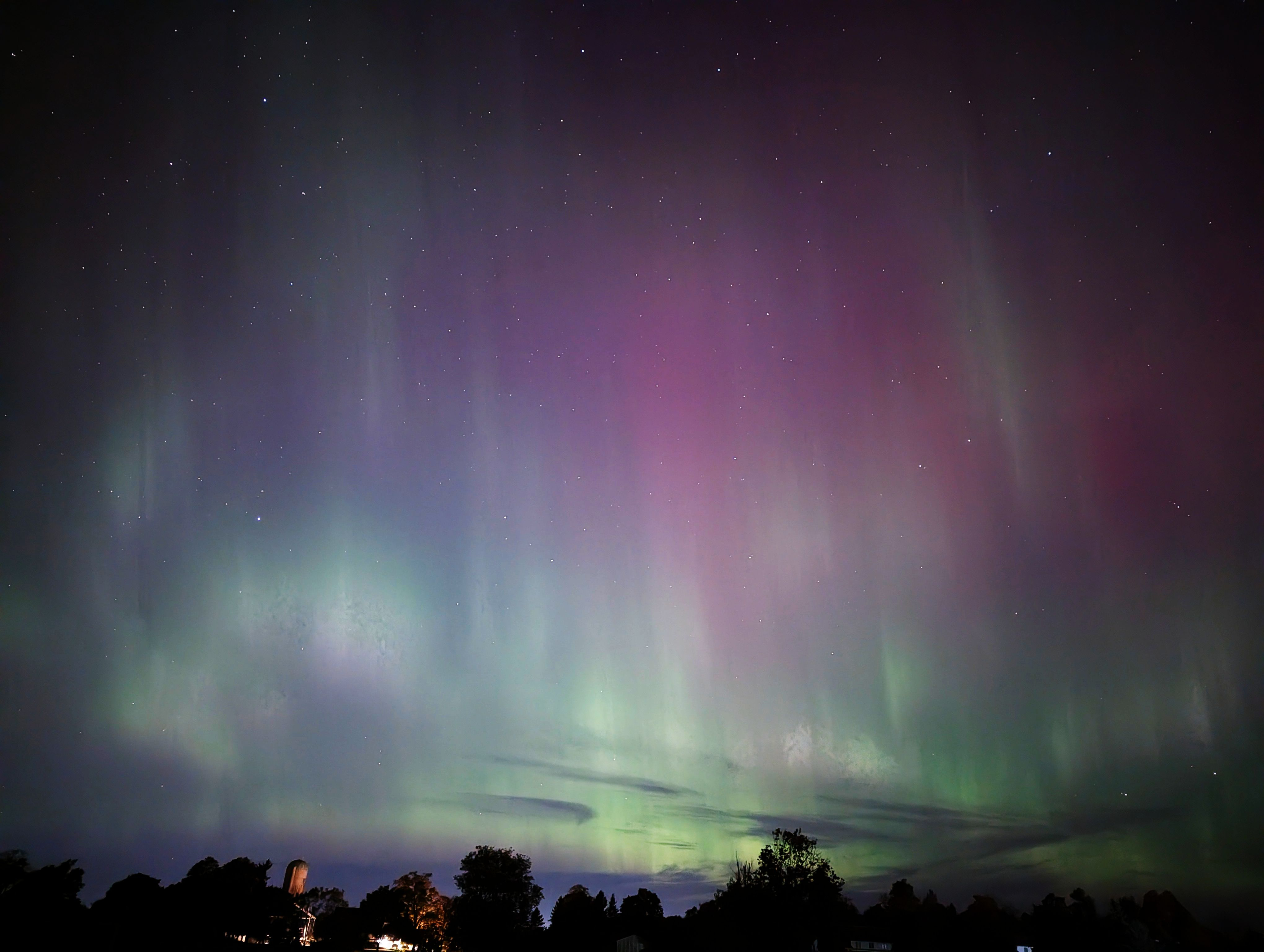 PXL_20241011_050057828.RAW-01.COVER.jpg