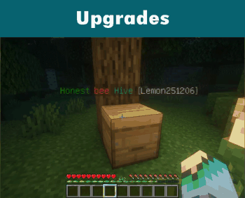 [IMG]
