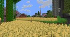 The Wheat Fields