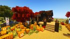 pumpkin farm / farmer's shop :-) 