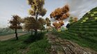 A forest path through my small medieval town.