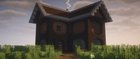 Nice Dark Oak house