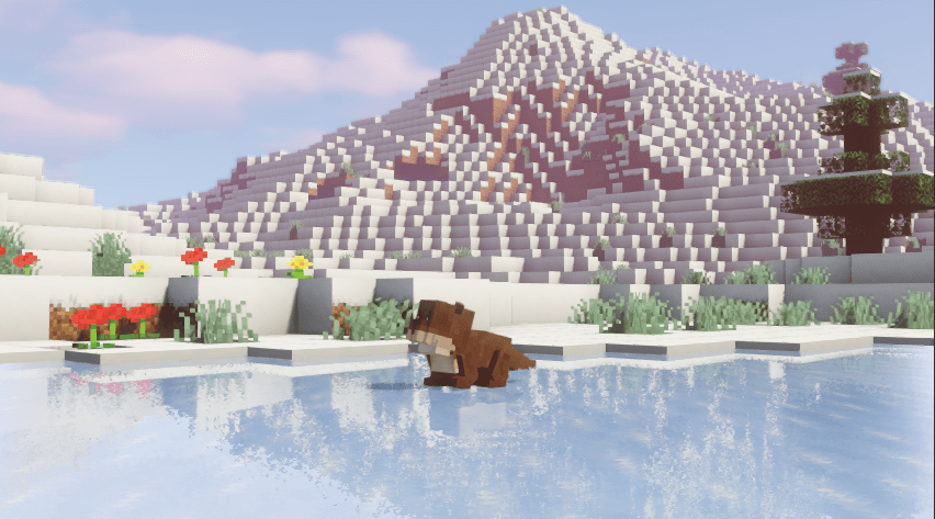 [IMG]