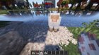 Fresh animations removing eyes