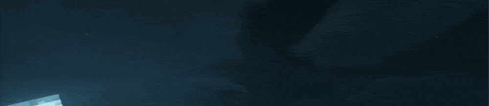 [IMG]