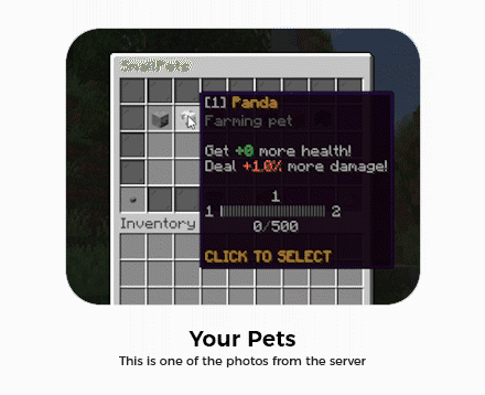 [IMG]