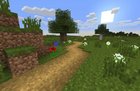 You know what'd be neat? A road biome