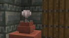 Using the Pale flower as a primitive clock?