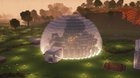 Just a simple Bee dome!