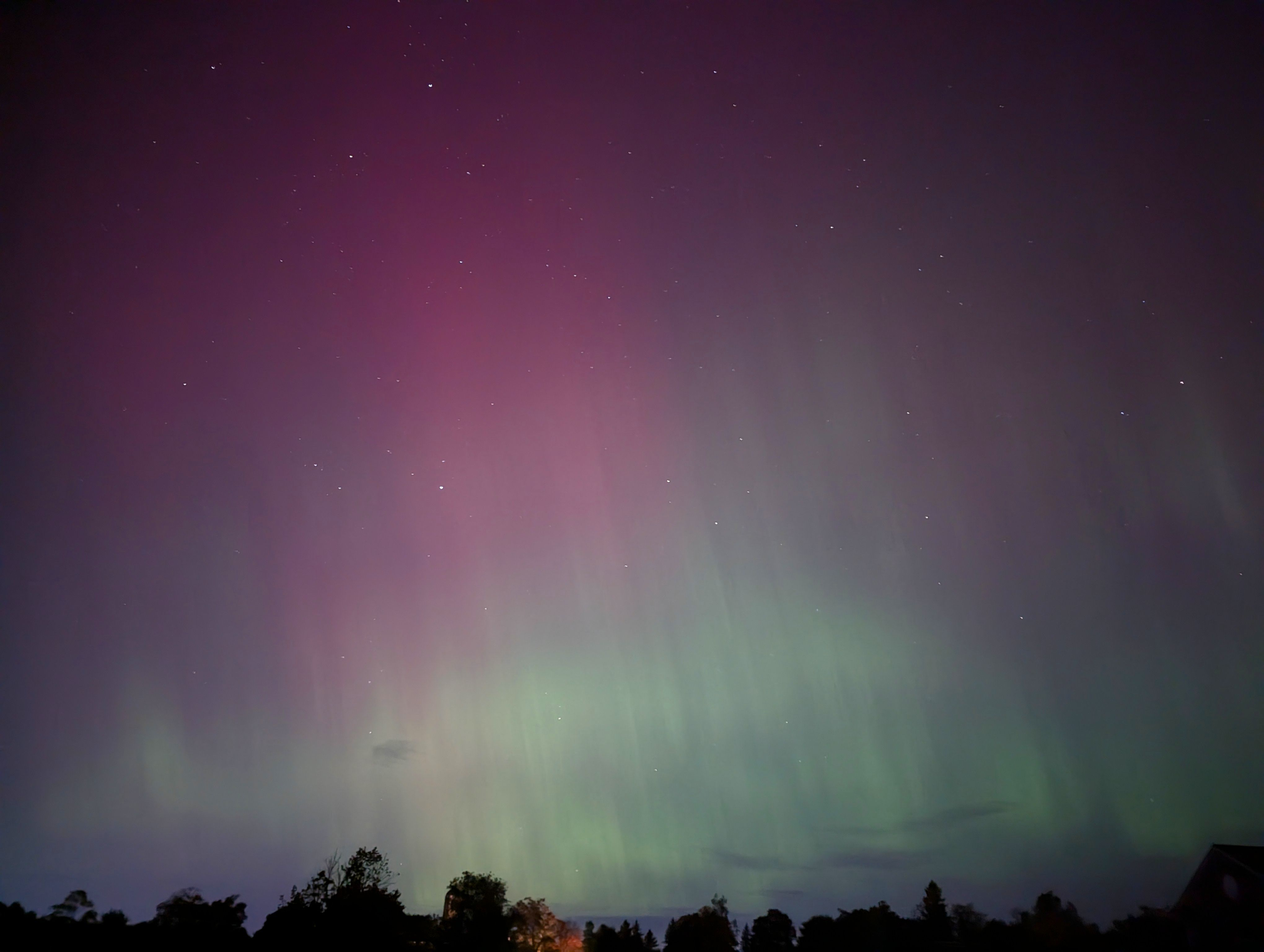 PXL_20241011_043105563.RAW-01.COVER.jpg