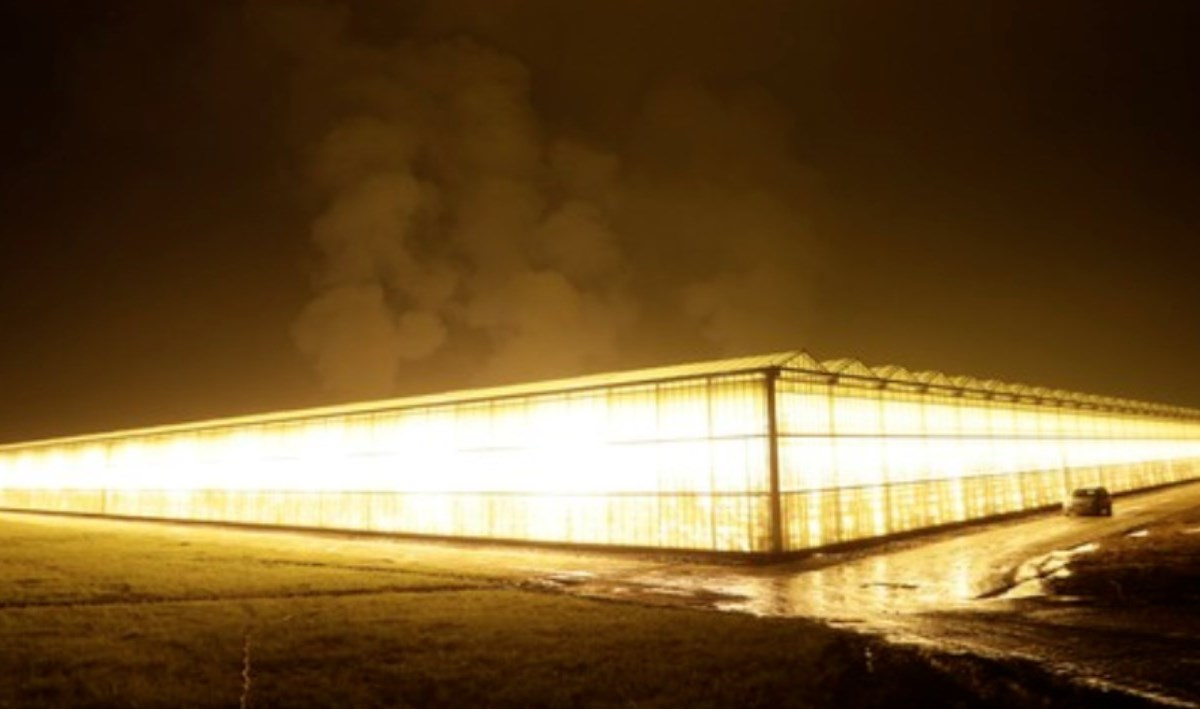 greenhouse2.jpeg
