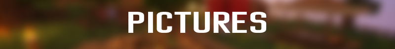 vdpictures.png