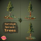 Survival Spruce Trees