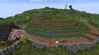 My try on a rice field in Mc - survival 