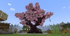 How is this sakura tree?