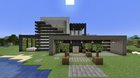 Survival friendly modern house