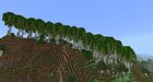 A Custom Birch Tree Biome I Created