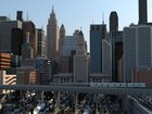 A Concrete Jungle