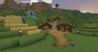 My Starter house