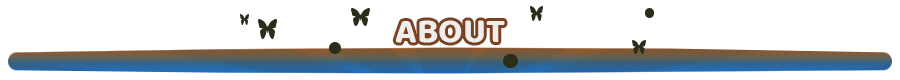 BEs2x1B.png