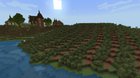 Azalea vineyard on the coast :)