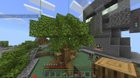 Opinions about my tree?